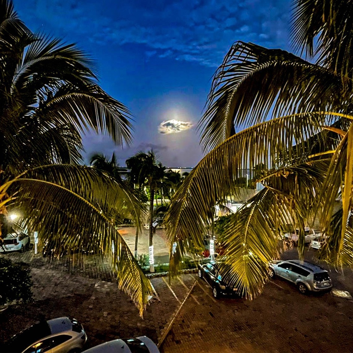 a full moon is visible through the palm trees in a parking lot