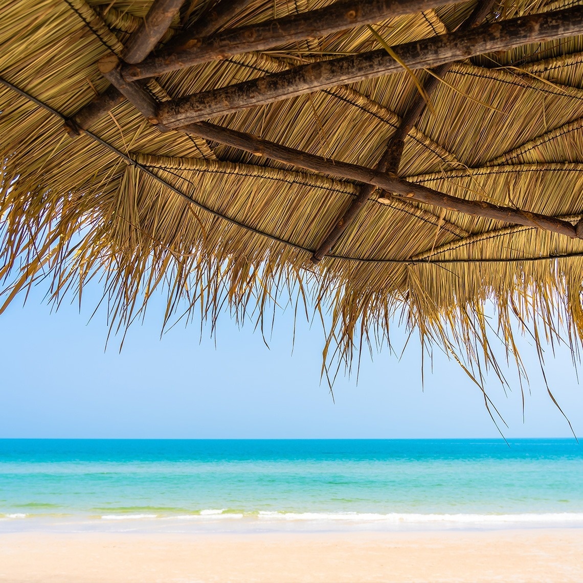 a thatched roof overlooking a beach with the ocean in the background