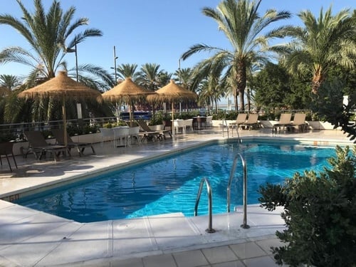 uma grande piscina cercada por palmeiras e cadeiras