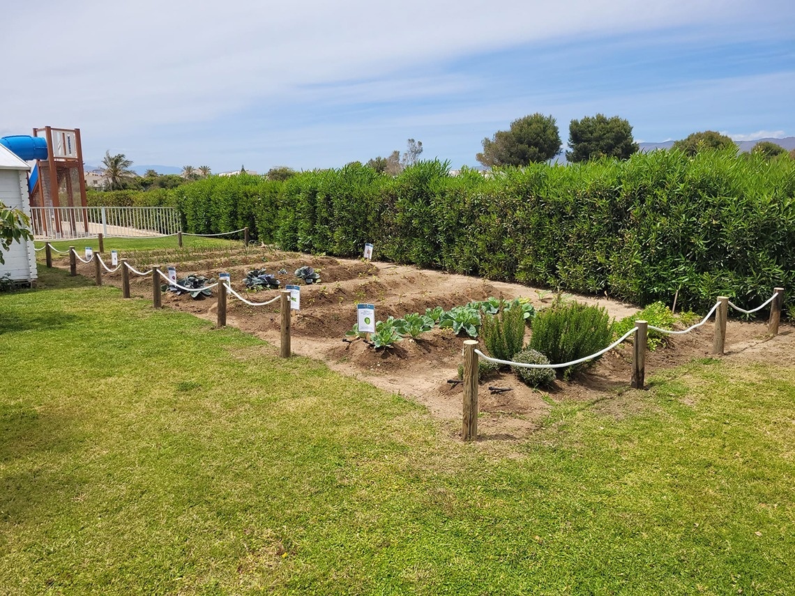 un jardín lleno de plantas y una señal que dice 