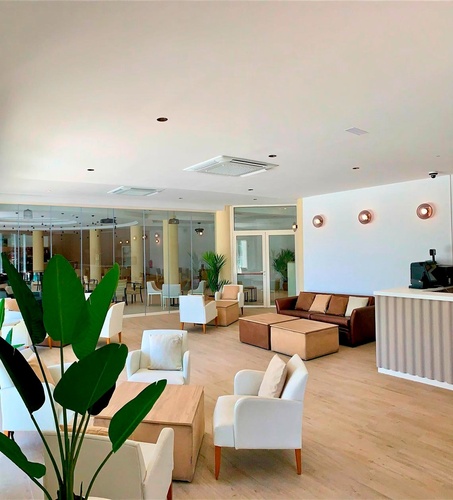 una sala de estar llena de muebles y una planta