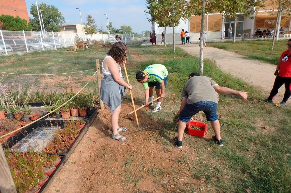 a group of people are working in a garden and one of them is wearing a shirt that says ' a ' on it