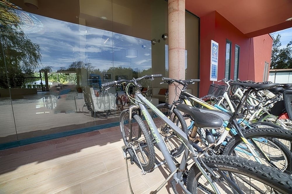una fila de bicicletas está estacionada frente a una puerta de vidrio