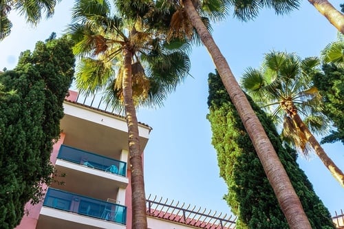 Une vue en contre-plongée révèle un bâtiment rose à balcons entouré de grands palmiers et de conifères élancés sous un ciel bleu clair.