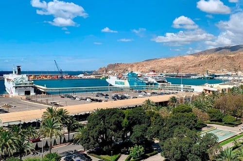 Une vue panoramique sur un port avec de grands ferries (dont un Balearia), des montagnes arides en arrière-plan et des palmiers luxuriants au premier plan, sous un ciel bleu.
