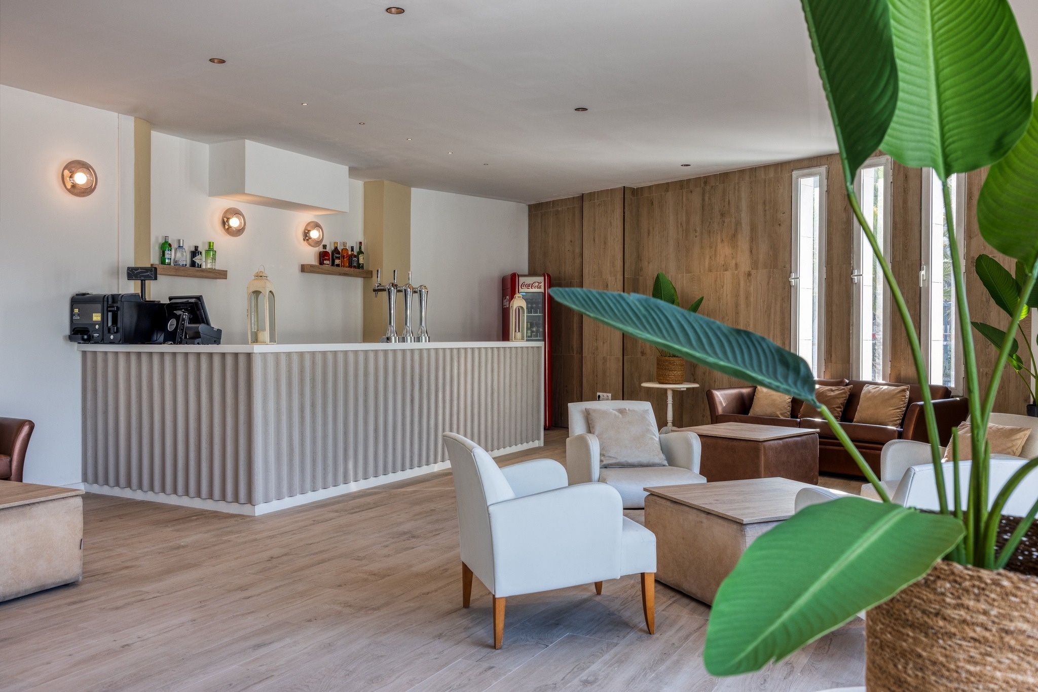 una habitación llena de muebles y una planta