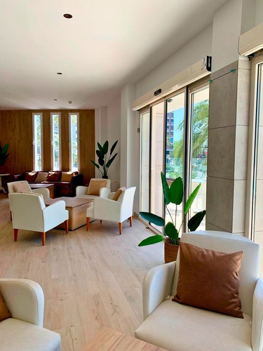 una sala de estar llena de muebles y una planta