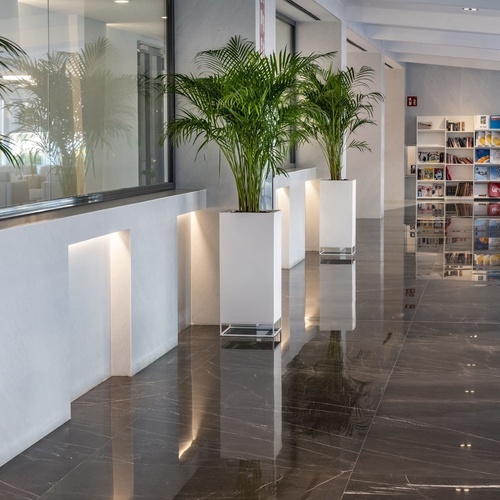 un pasillo con plantas y una estantería con libros