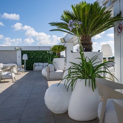 una zona de estar con muebles blancos y plantas en macetas