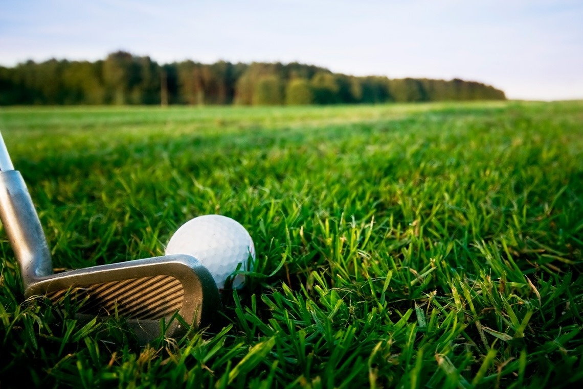 uma bola de golfe e um taco de golfe na grama