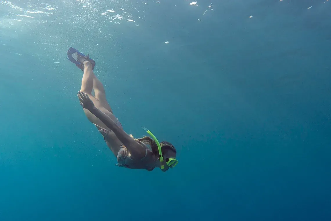 Snorkeling with On Hotels: ON Corporativa. Explore the ocean.