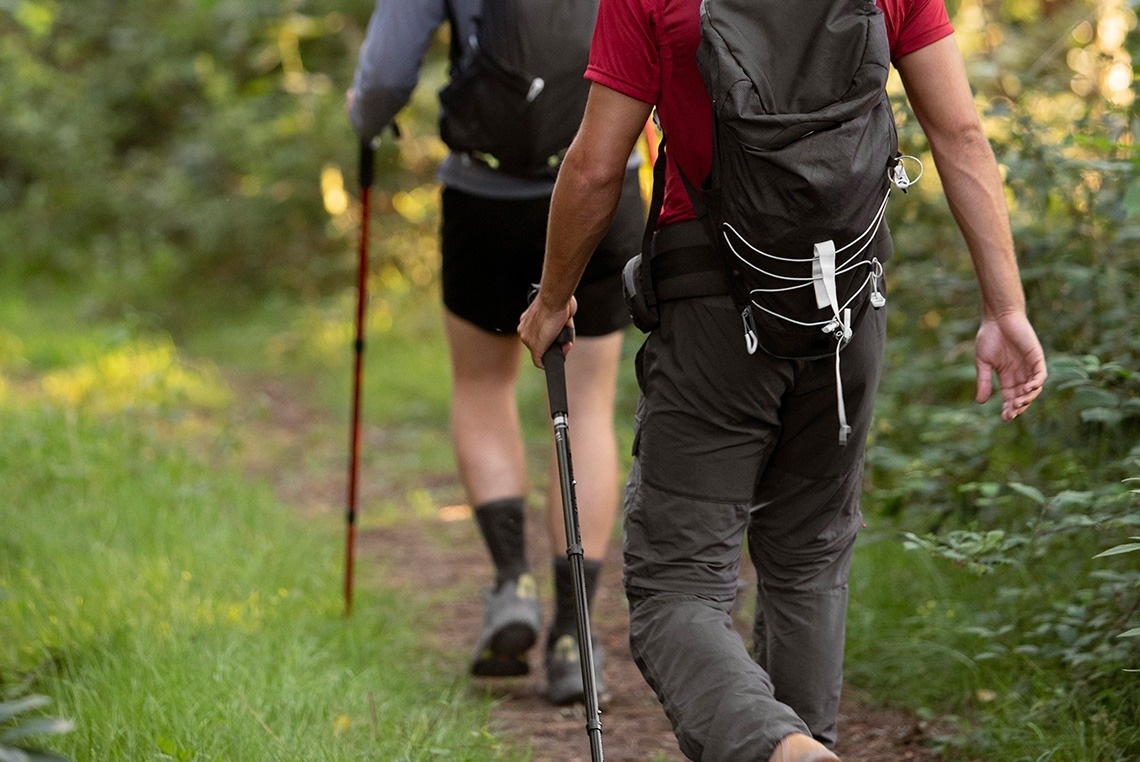 deux personnes portant des sacs à dos et des bâtons de randonnée marchent sur un chemin forestier