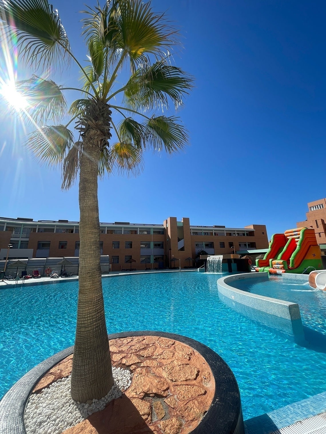 a large swimming pool with a palm tree in the foreground