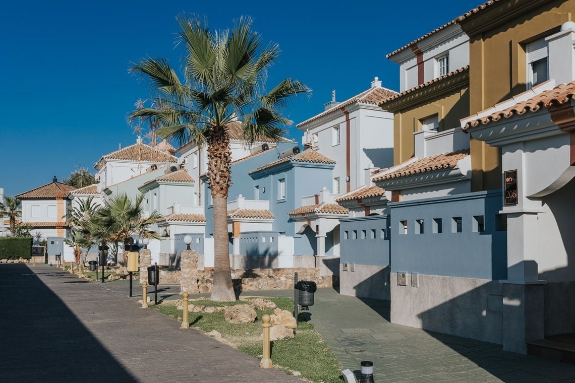 a row of houses with a palm tree in the middle