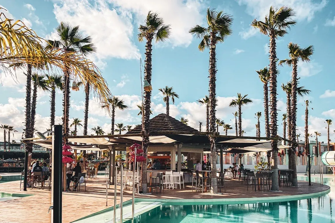 Resort On Hotels: ON Corporativa, piscina y palmeras.