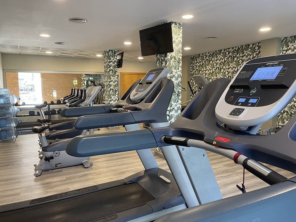a row of treadmills are lined up in a gym
