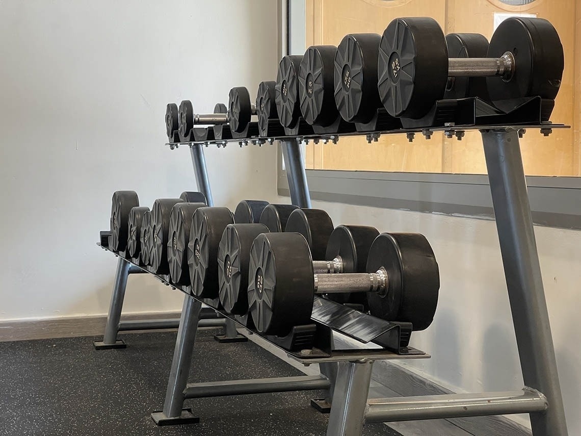 a row of black dumbbells are lined up on a rack