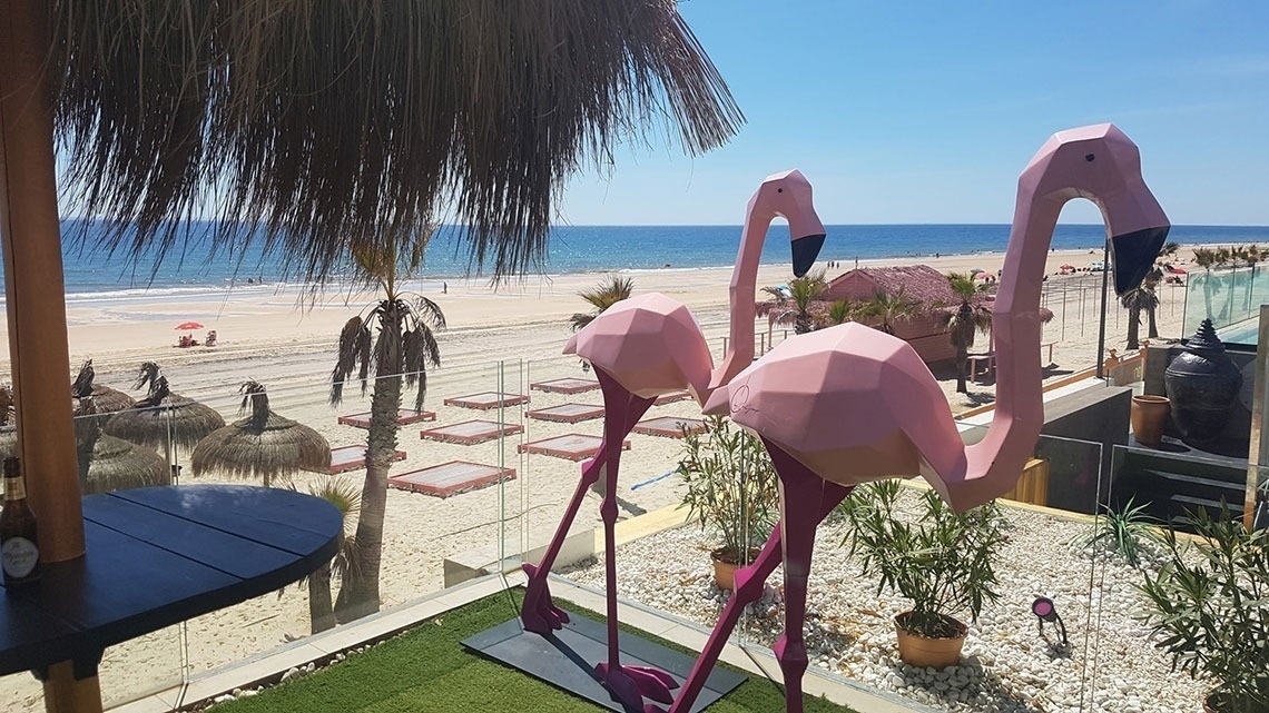 three pink flamingos are standing in front of a beach