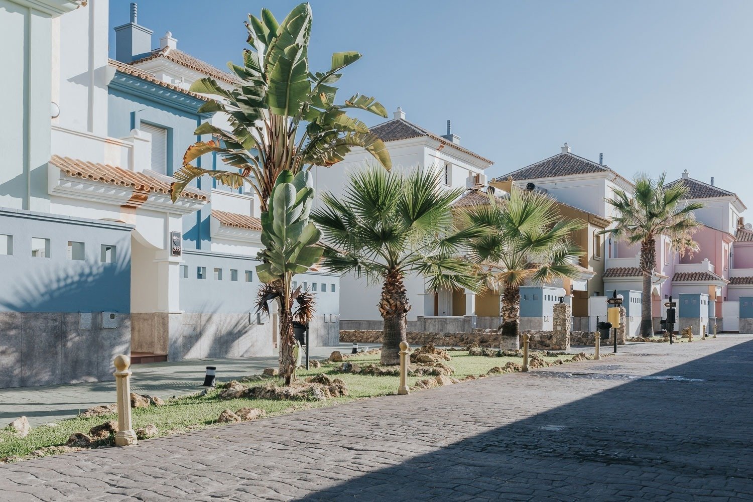 une rangée de maisons colorées avec des palmiers au milieu