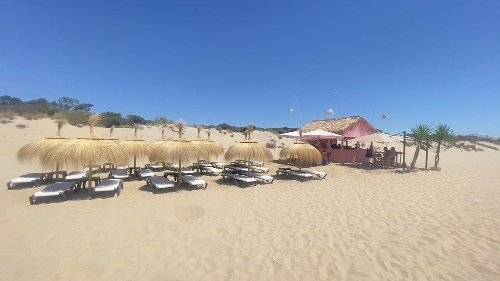 una playa con sillas y sombrillas en la arena