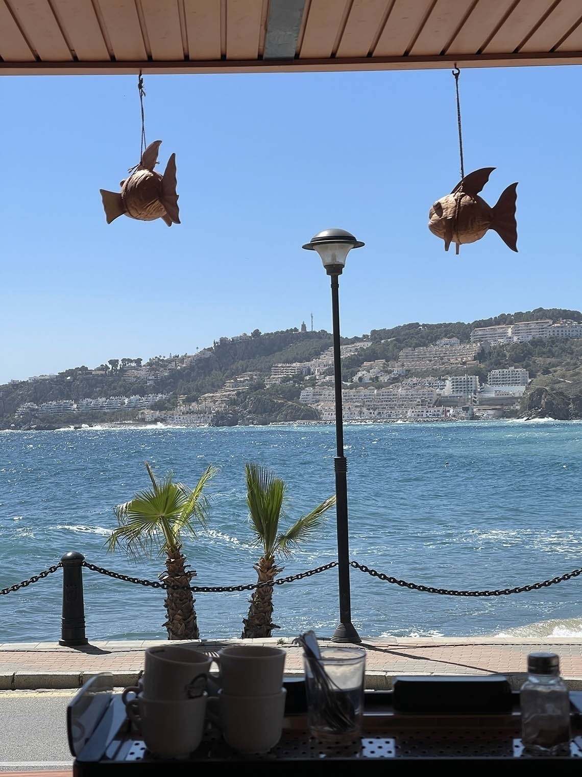 a view of the ocean from a restaurant with fish hanging from the ceiling