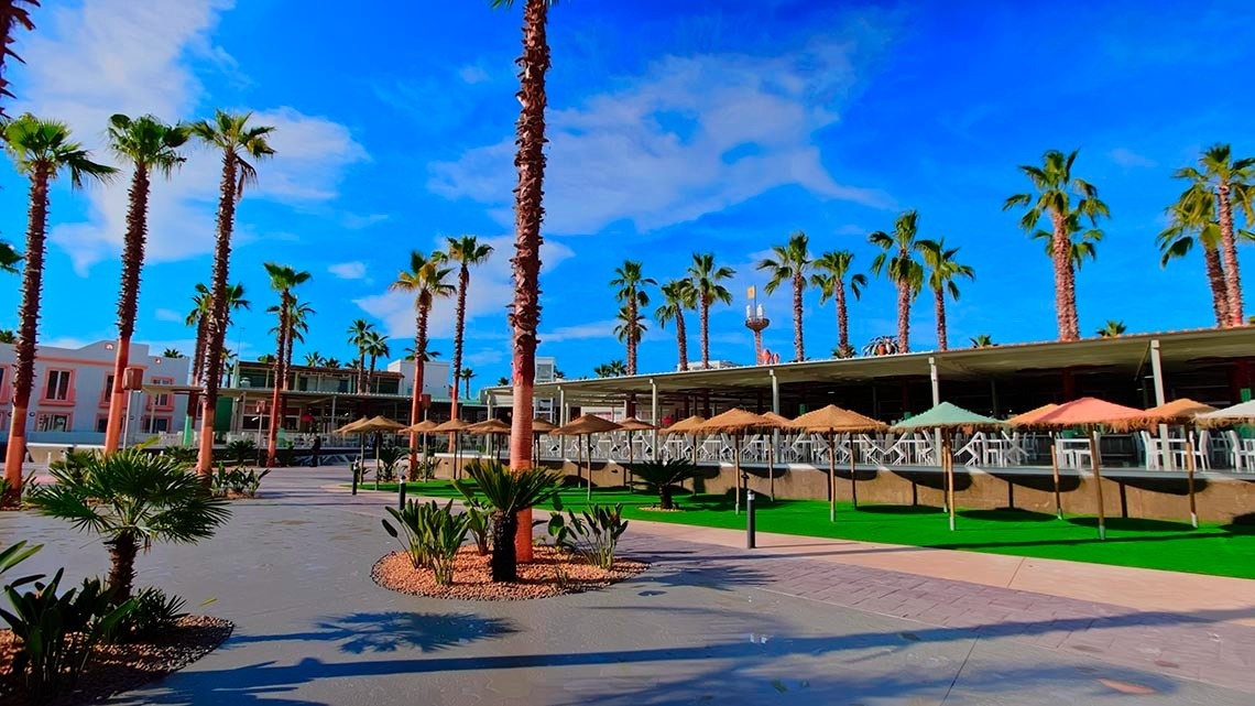 un patio con palmeras y sombrillas en un día soleado