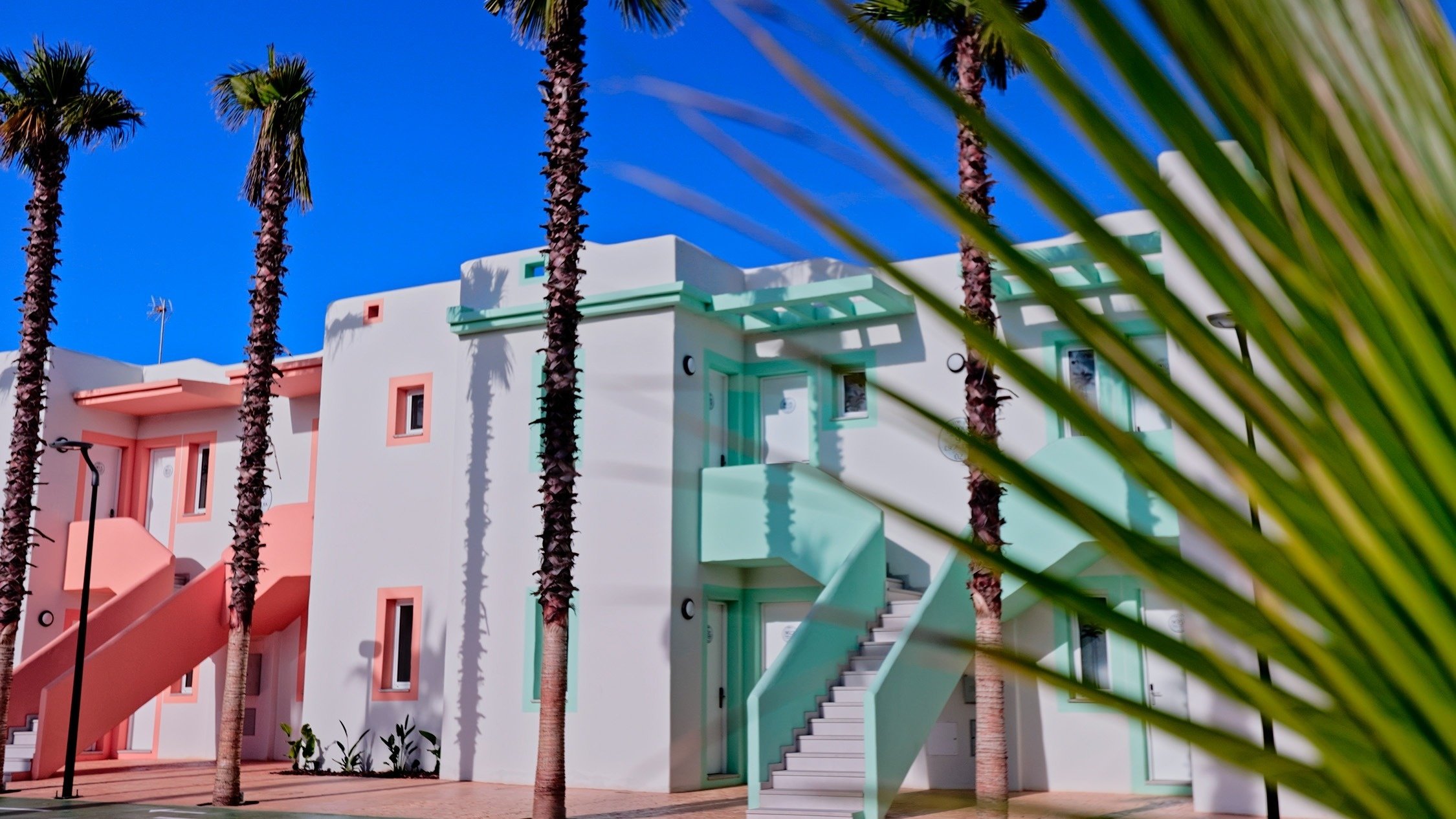 a white building with stairs and palm trees in front of it