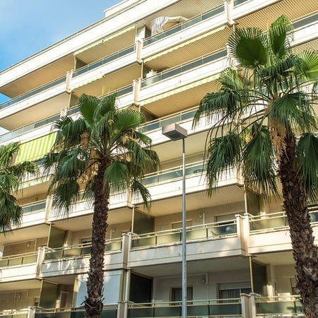 Facilidades con palmeras del hotel Ona Jardines Paraisol en Salou 