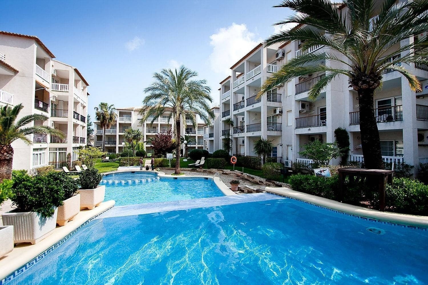 Détail de la piscine. avec des palmiers de l´hôtel Ona Ogisaka Garden à Denia