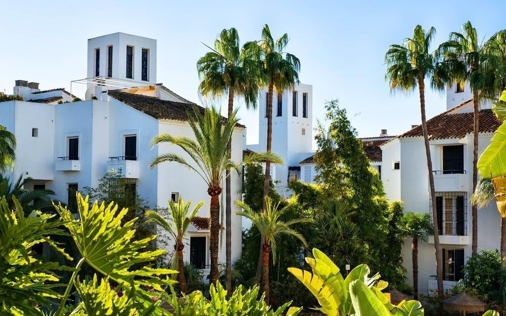a white building with palm trees in front of it