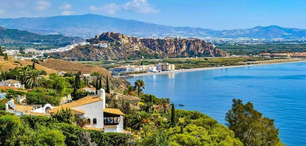 una gran piscina con vistas al océano está rodeada de palmeras