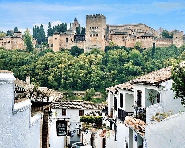 una gran piscina con vistas al océano está rodeada de palmeras