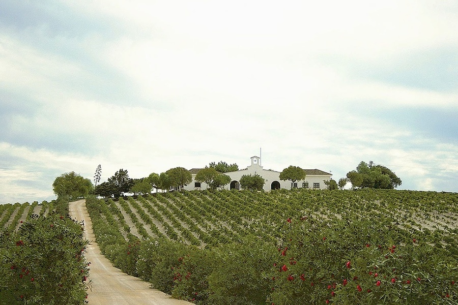 Hotel Casa Palacio Maria Luisa 5*GL