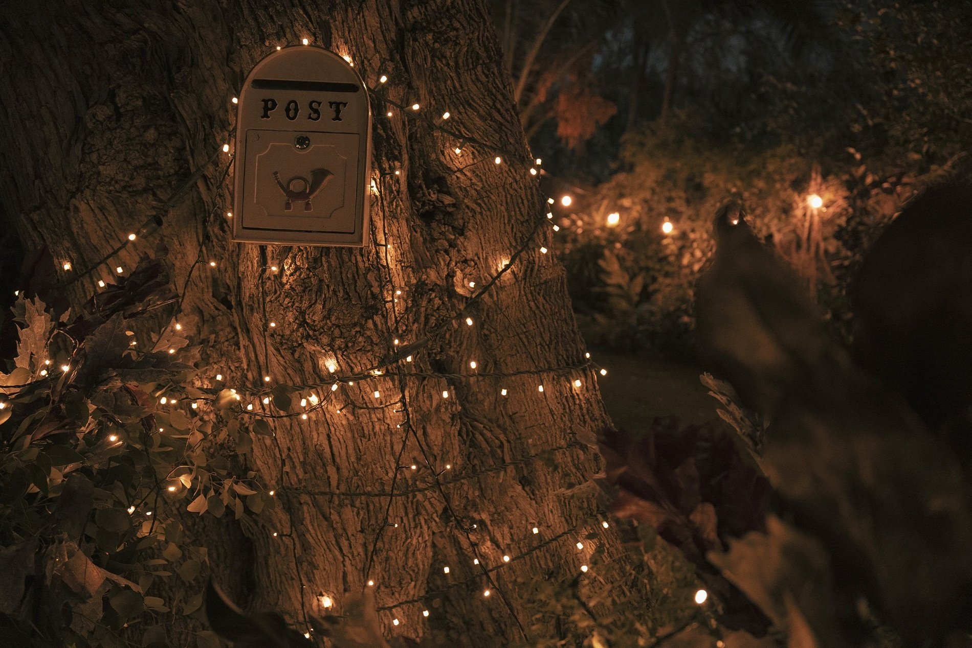 una caja de correo en un árbol con luces alrededor