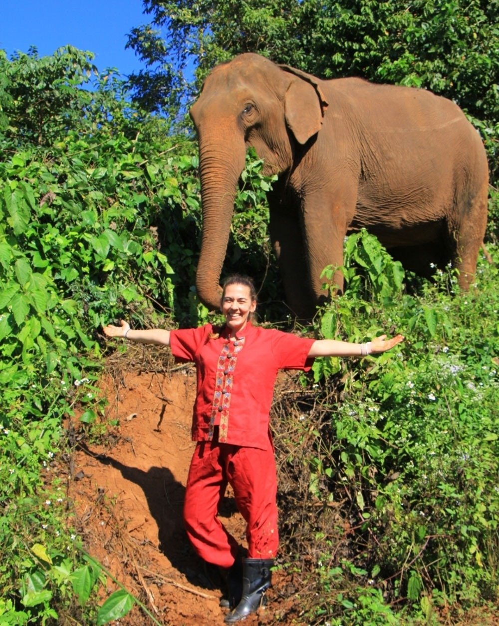 a woman in a red shirt stands next to an elephant