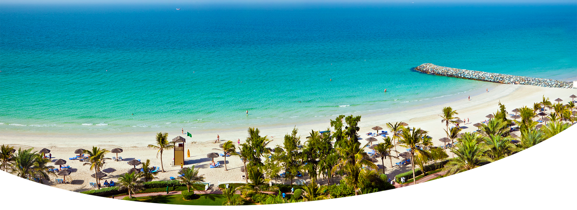 una persona está usando una computadora portátil para reservar una habitación de hotel