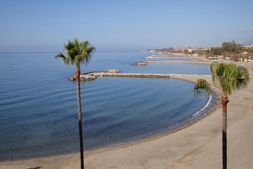 una playa con palmeras y rocas en el agua