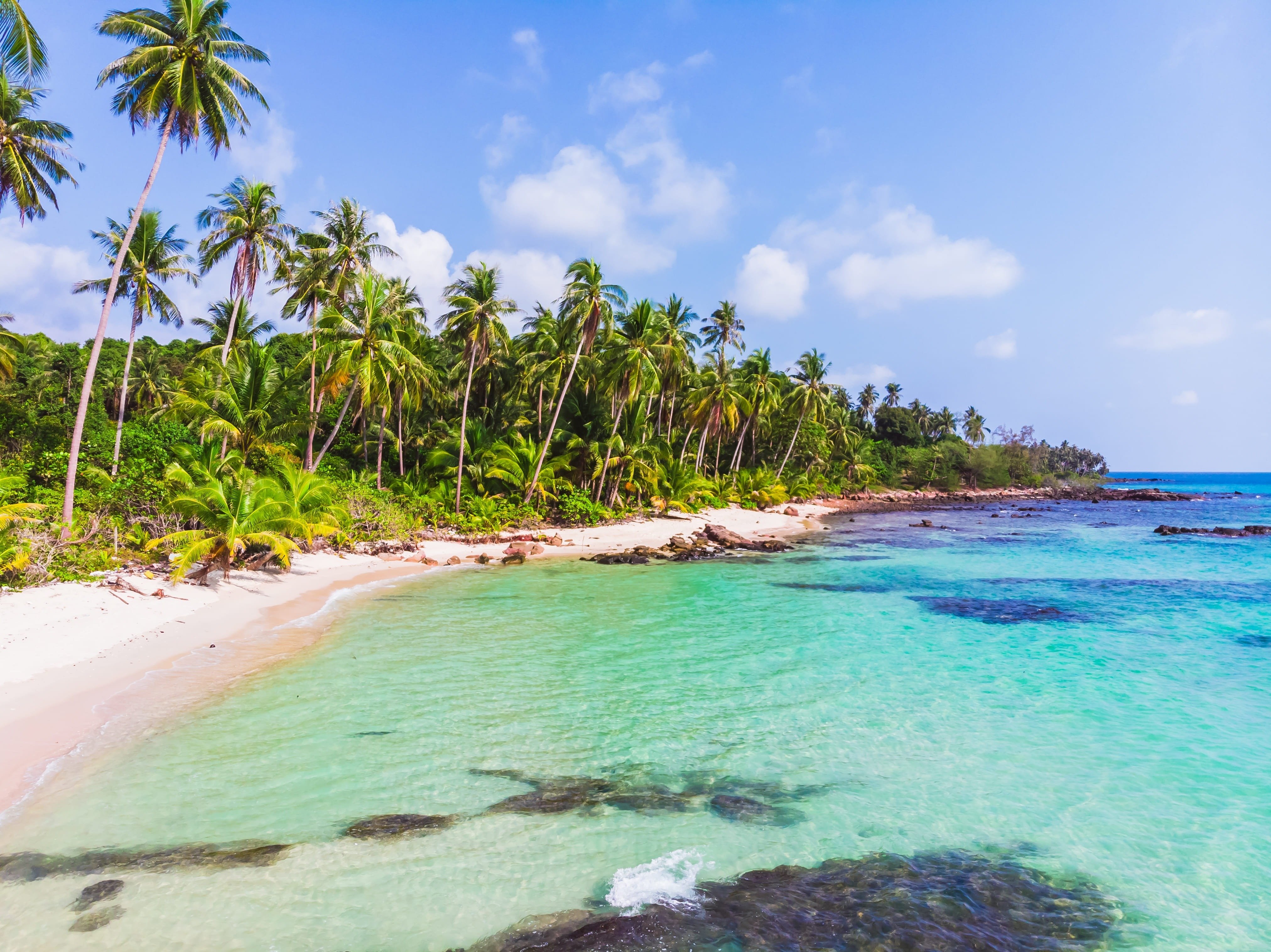 a tropical beach with palm trees and turquoise water