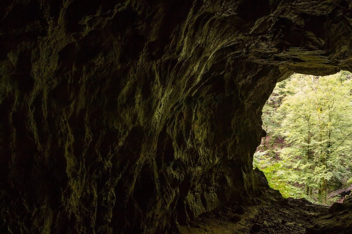 Vista desde la cueva a un bosque verde, Cueva del Tigre (Zihuatanejo)