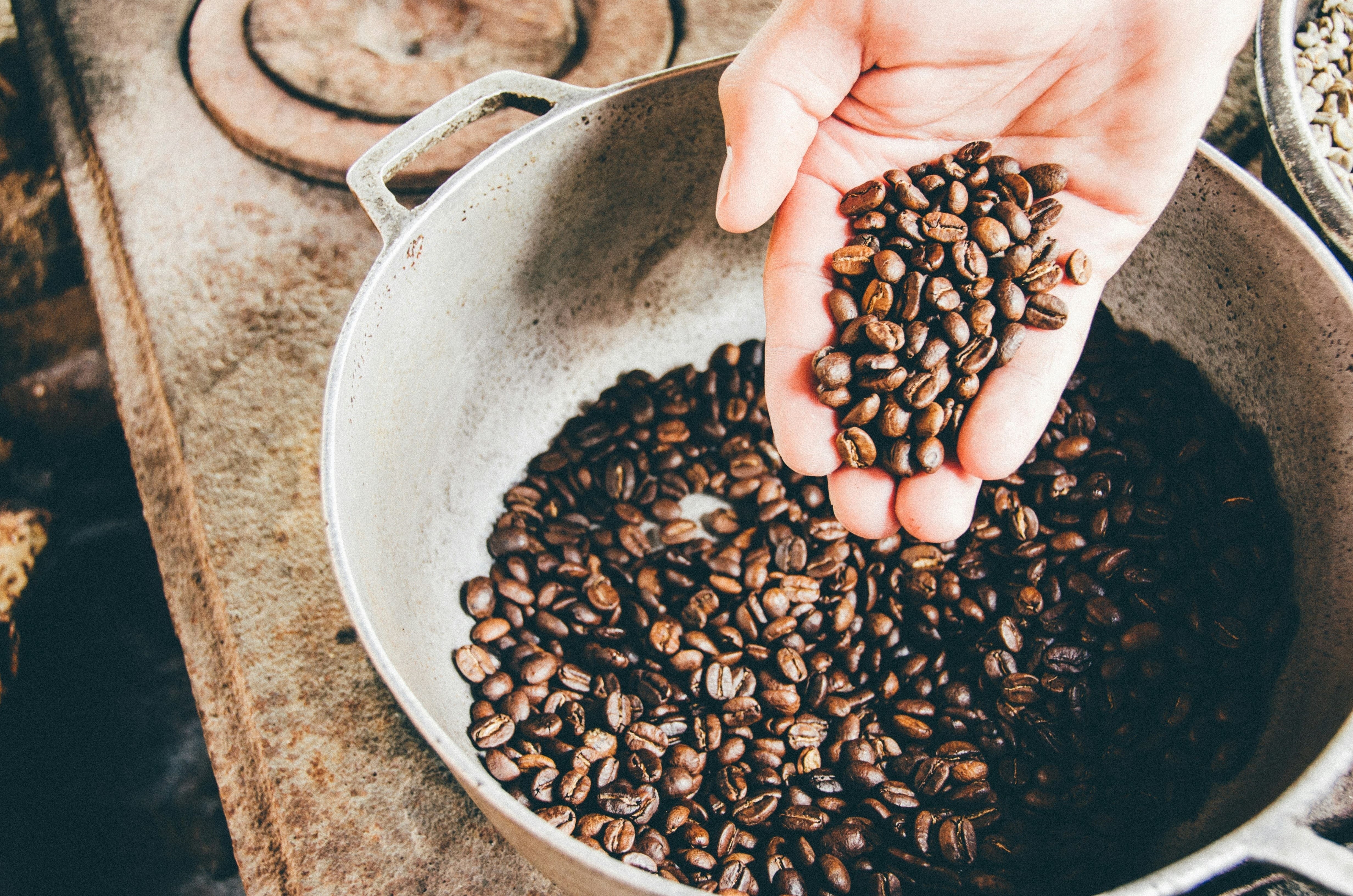 una persona sostiene un montón de granos de café en su mano