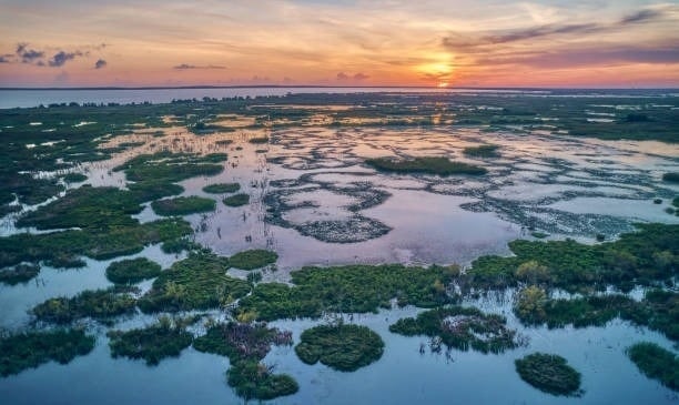 El lago Apopka