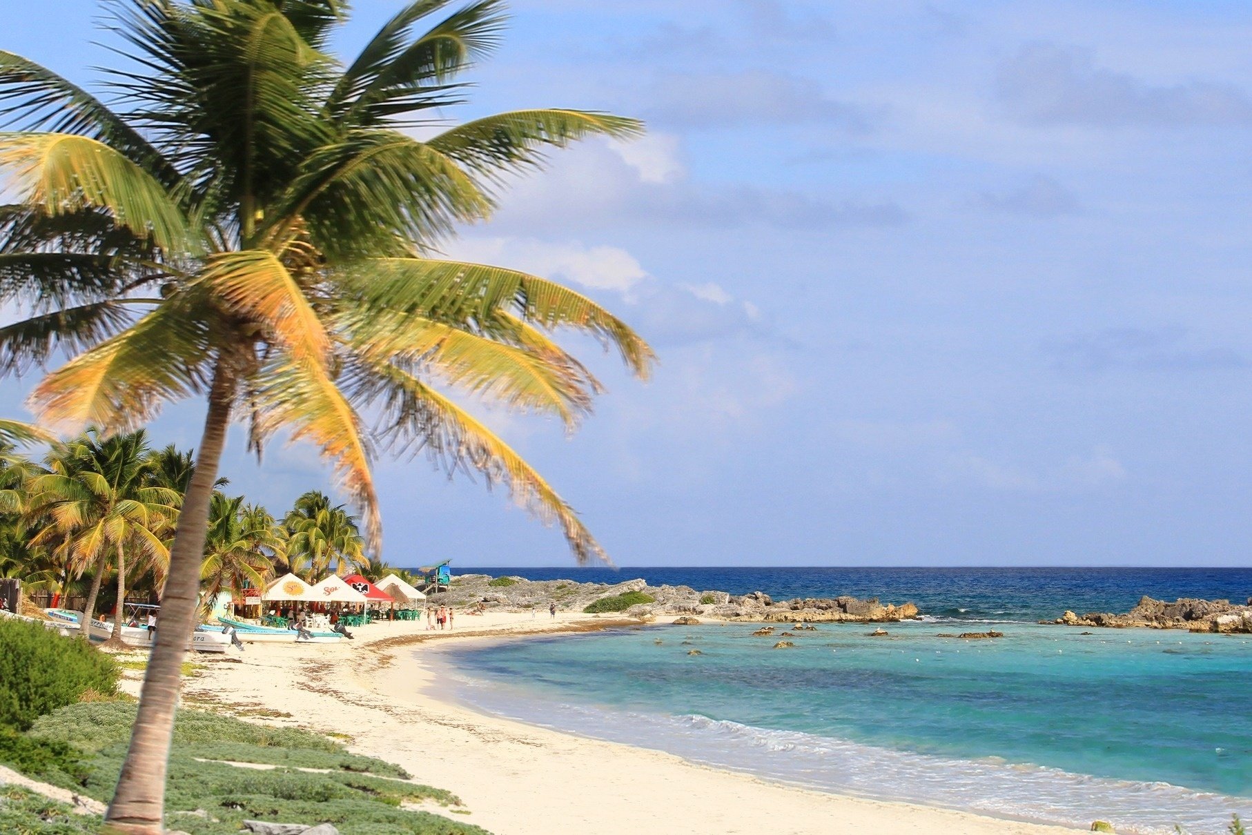 una playa con palmeras y tiendas en el fondo