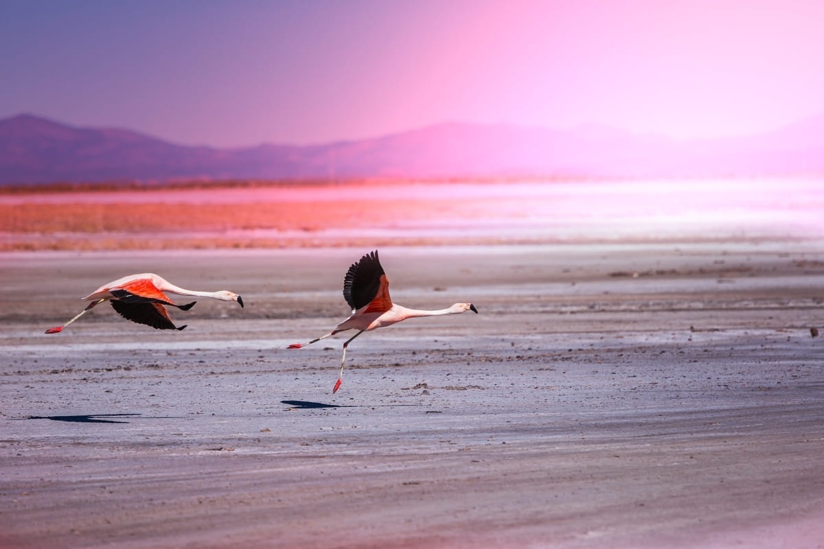 Las Coloradas Yucatán