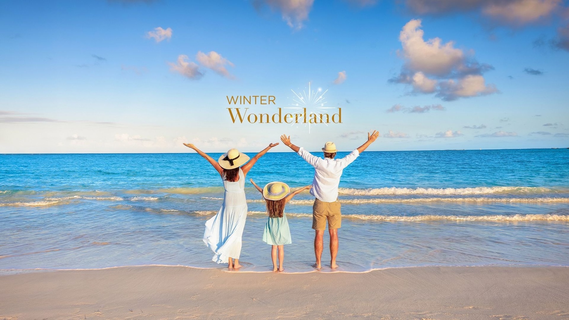 uma mulher está sentada em um balanço na praia olhando para o oceano