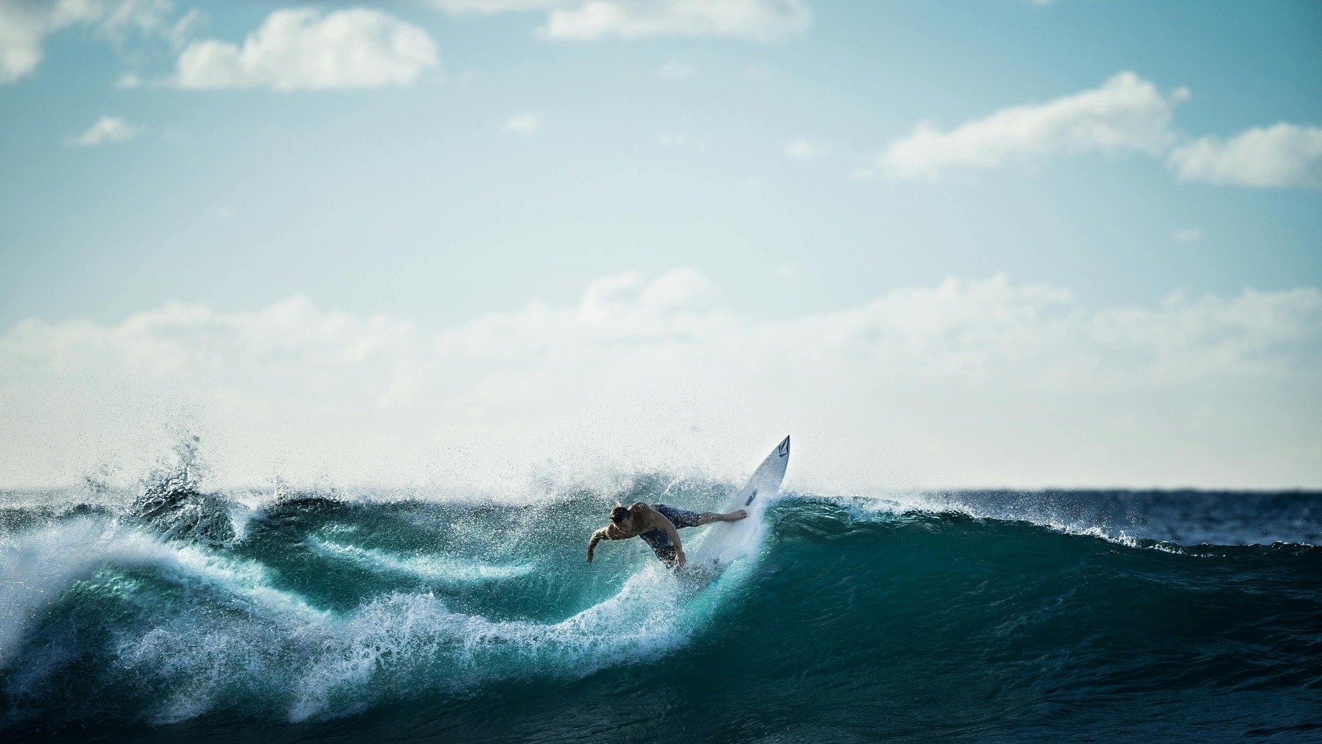 un surfista monta una ola en el océano