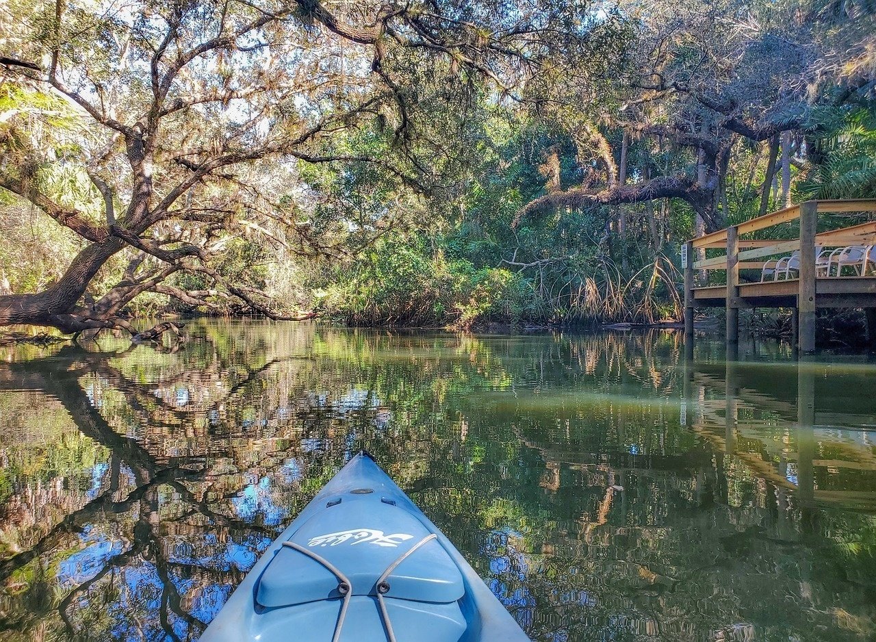 Parque estatal de Wekiwa Springs