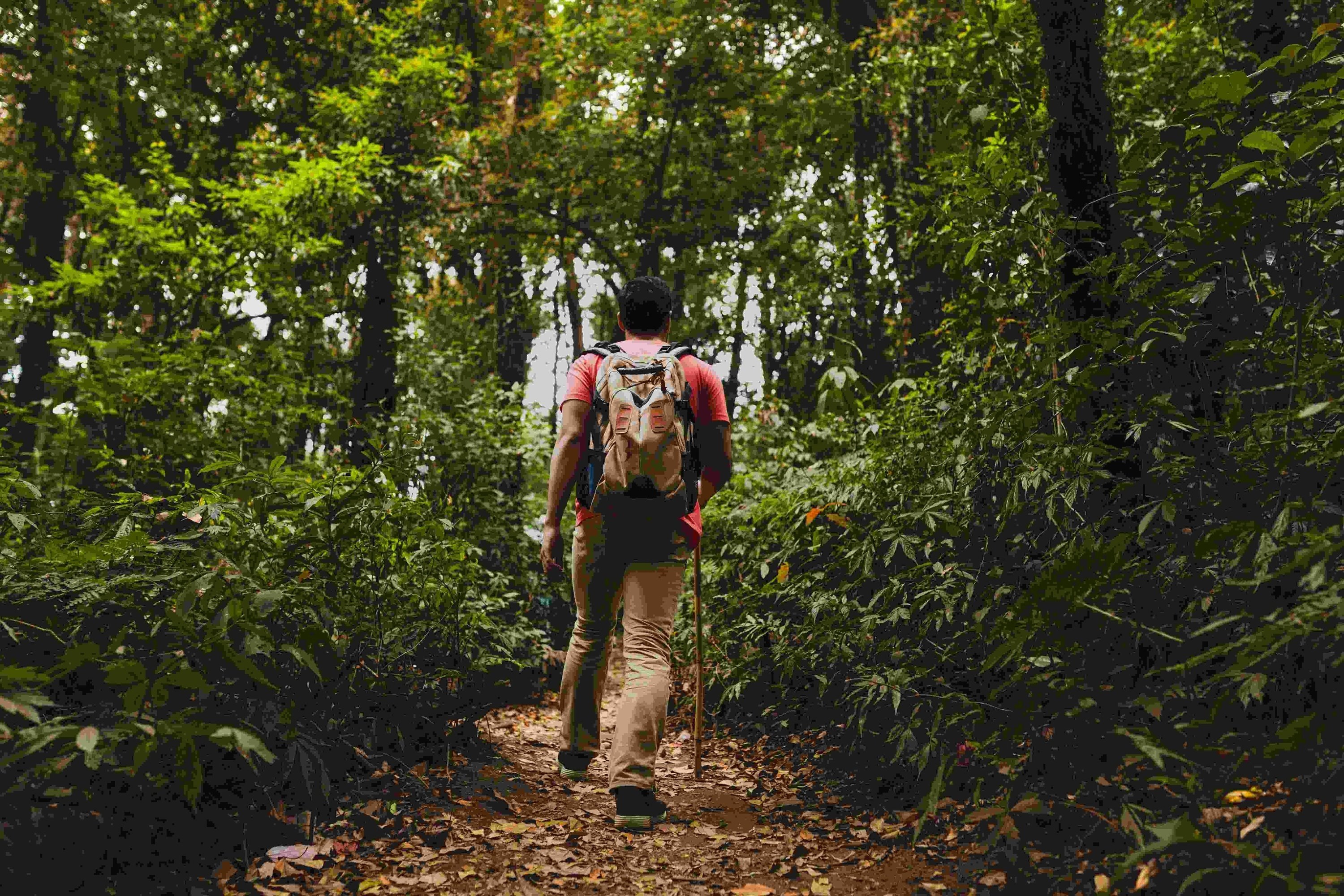 a man with a backpack is walking through the woods