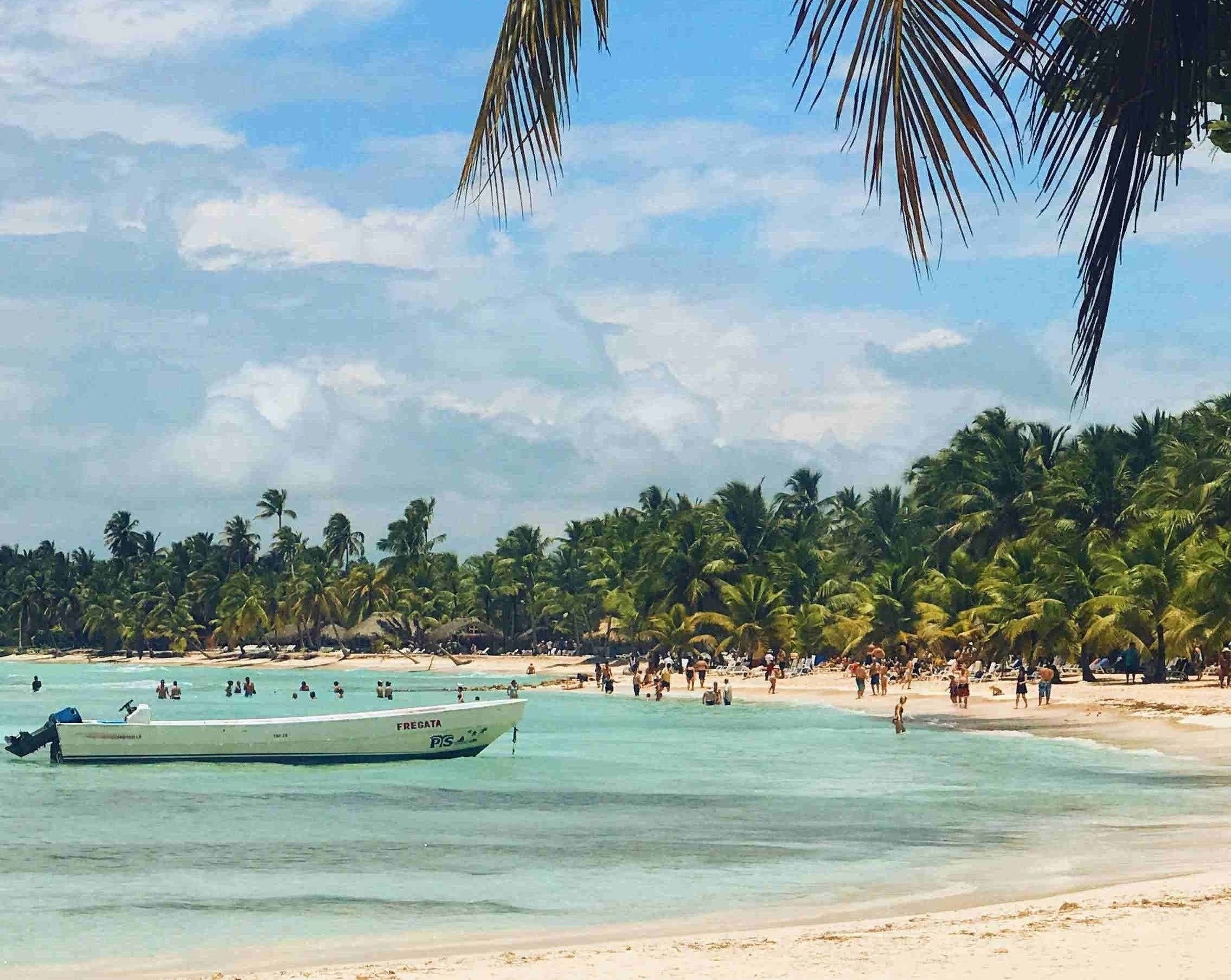 a beach with palm trees filled with people and a boat