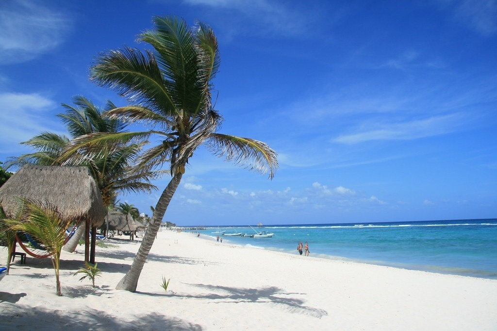 una playa blanca con palmeras y cabañas de paja