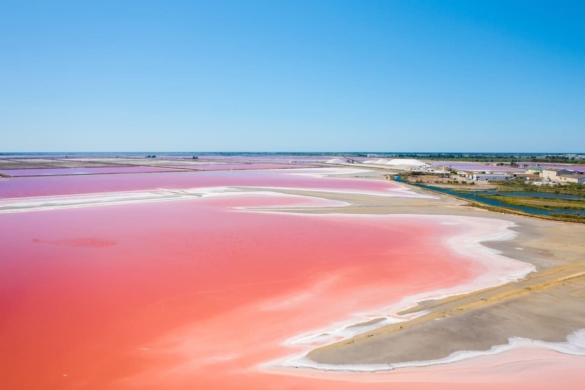As Coloradas de Yucatán: Um guia para visitar a joia rosa